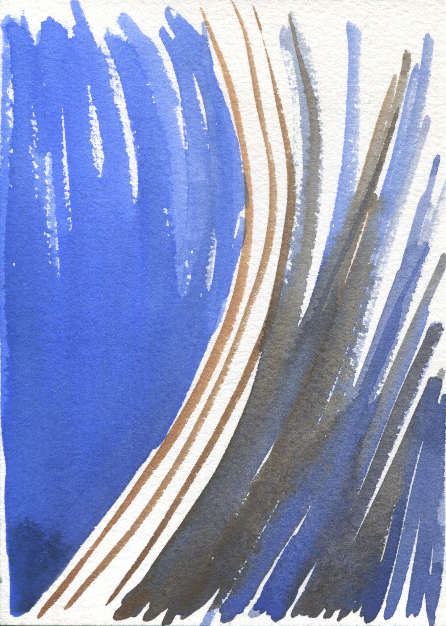 Anne Patterson, Year of Wonder, Nov 4-10, 2020