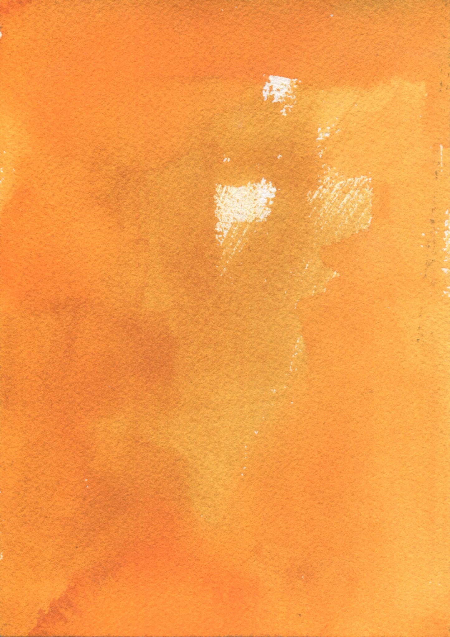 Anne Patterson, Year of Wonder, Nov 11-17, 2020