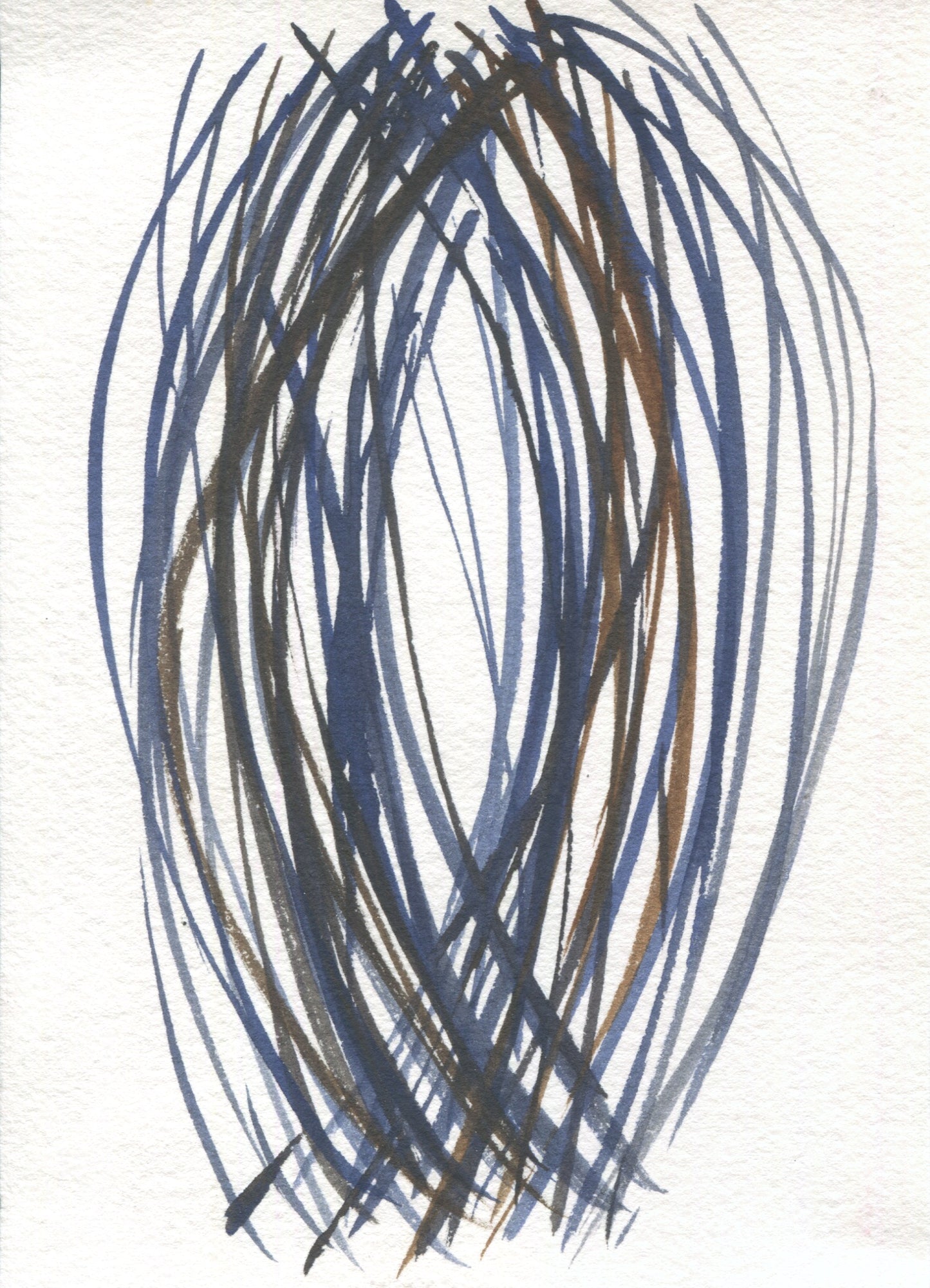 Anne Patterson, Year of Wonder, Nov 11-17, 2020