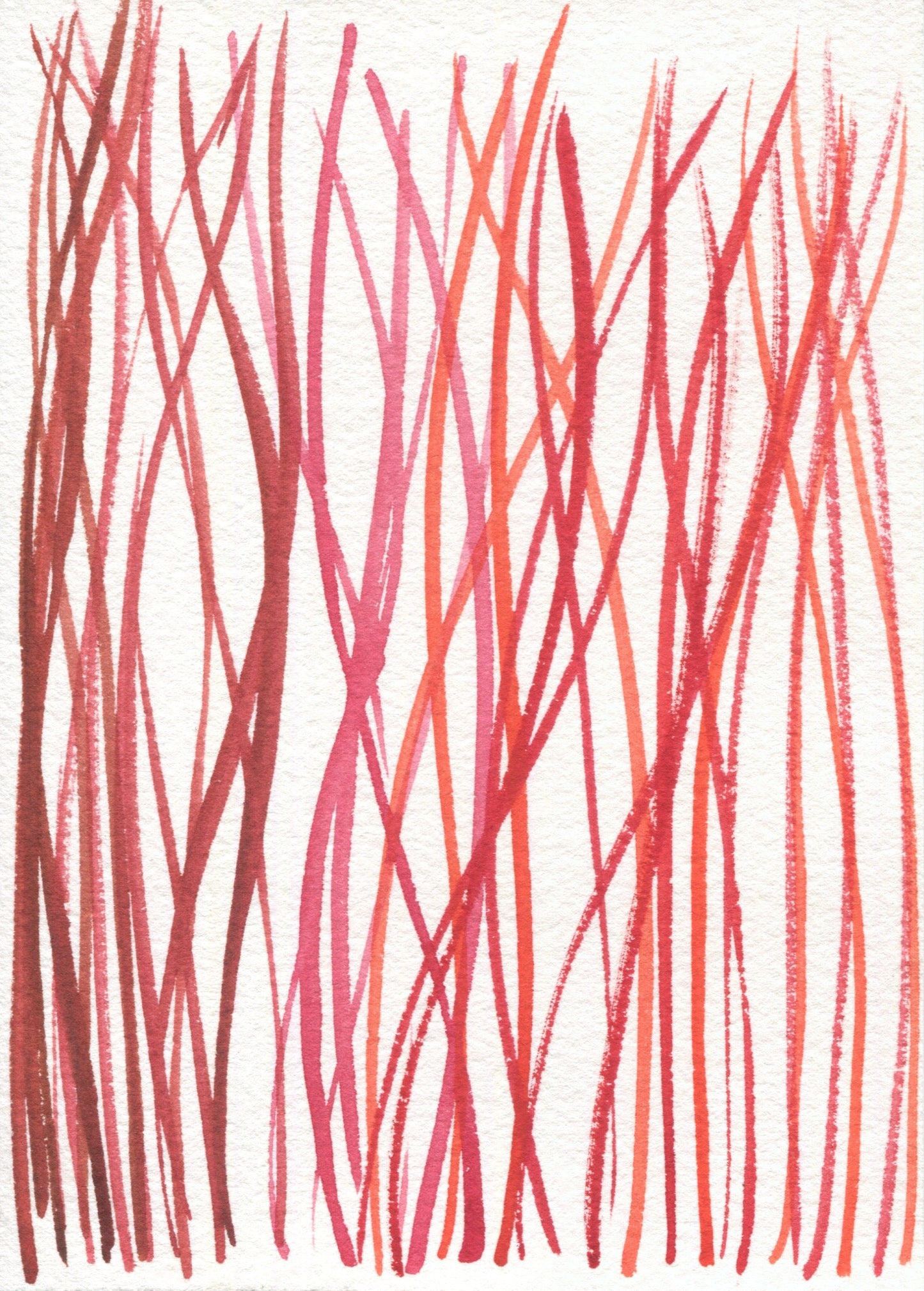 Anne Patterson, Year of Wonder, Nov 11-17, 2020