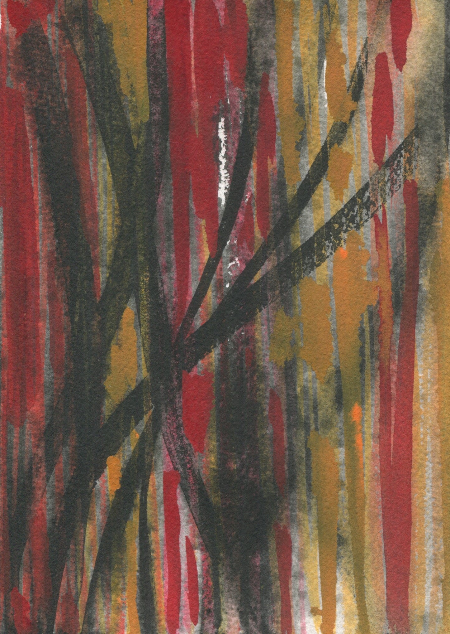 Anne Patterson, Year of Wonder, Nov 18-24, 2020