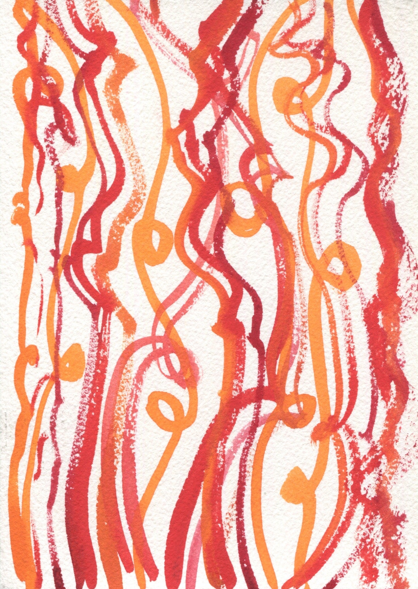Anne Patterson, Year of Wonder, Nov 18-24, 2020