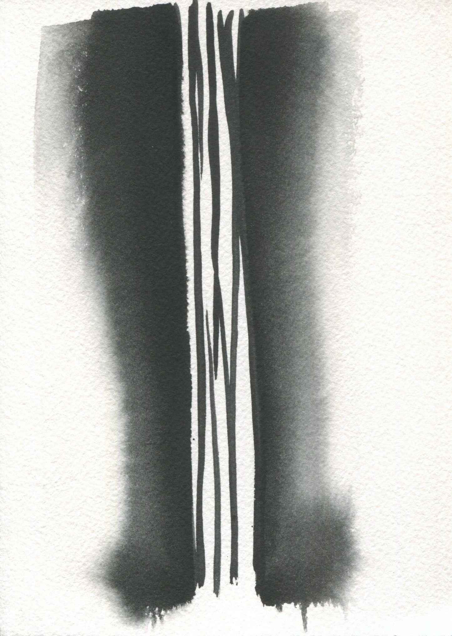 Anne Patterson, Year of Wonder, Nov 18-24, 2020