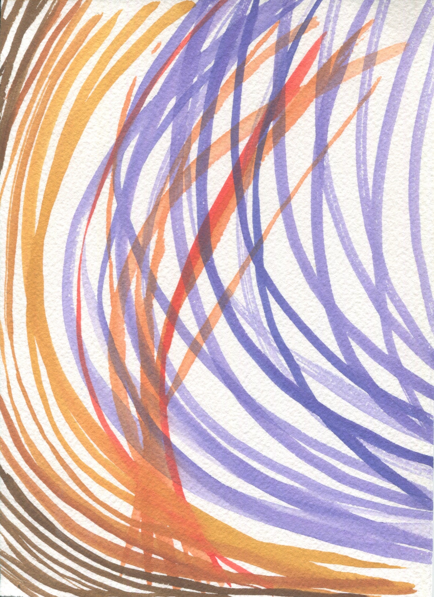 Anne Patterson, Year of Wonder, Dec 9-15, 2020