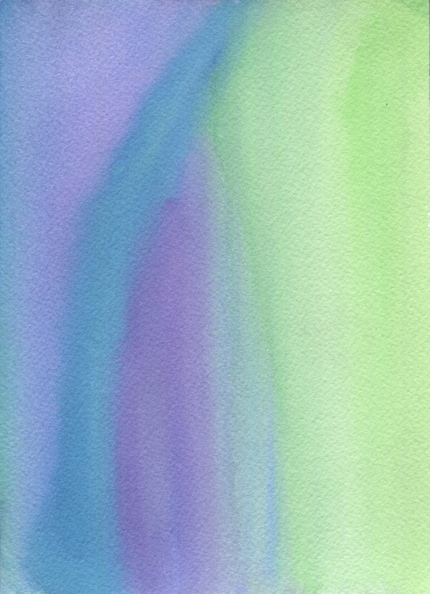 Anne Patterson, Year of Wonder, Dec 9-15, 2020