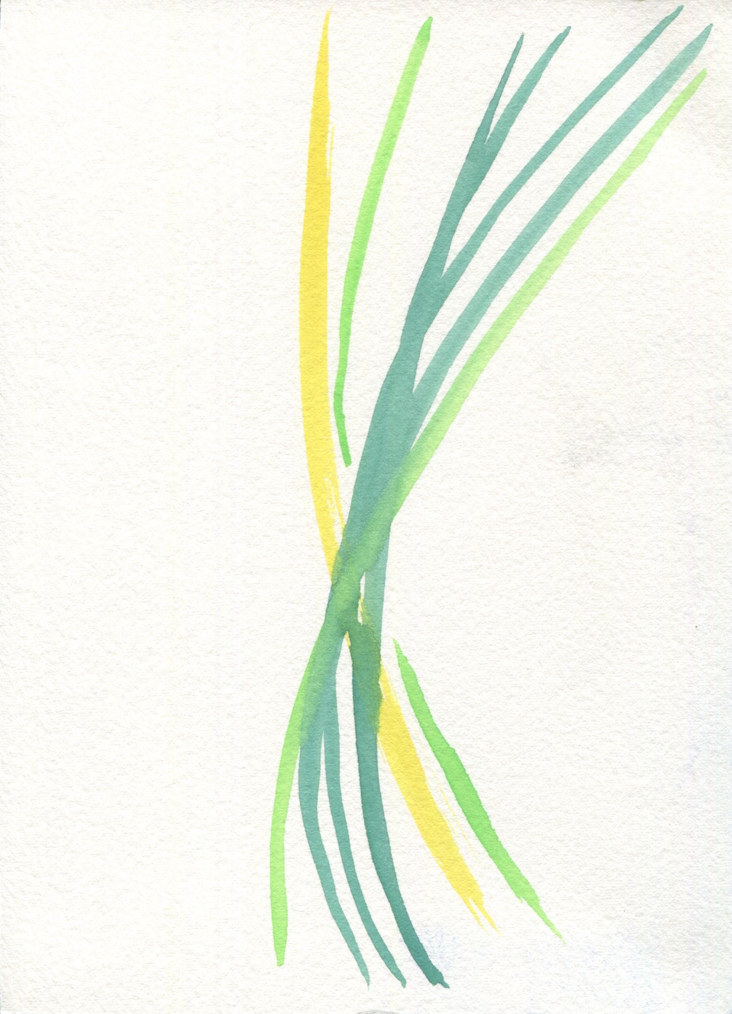 Anne Patterson, Year of Wonder, Dec 16-22, 2020