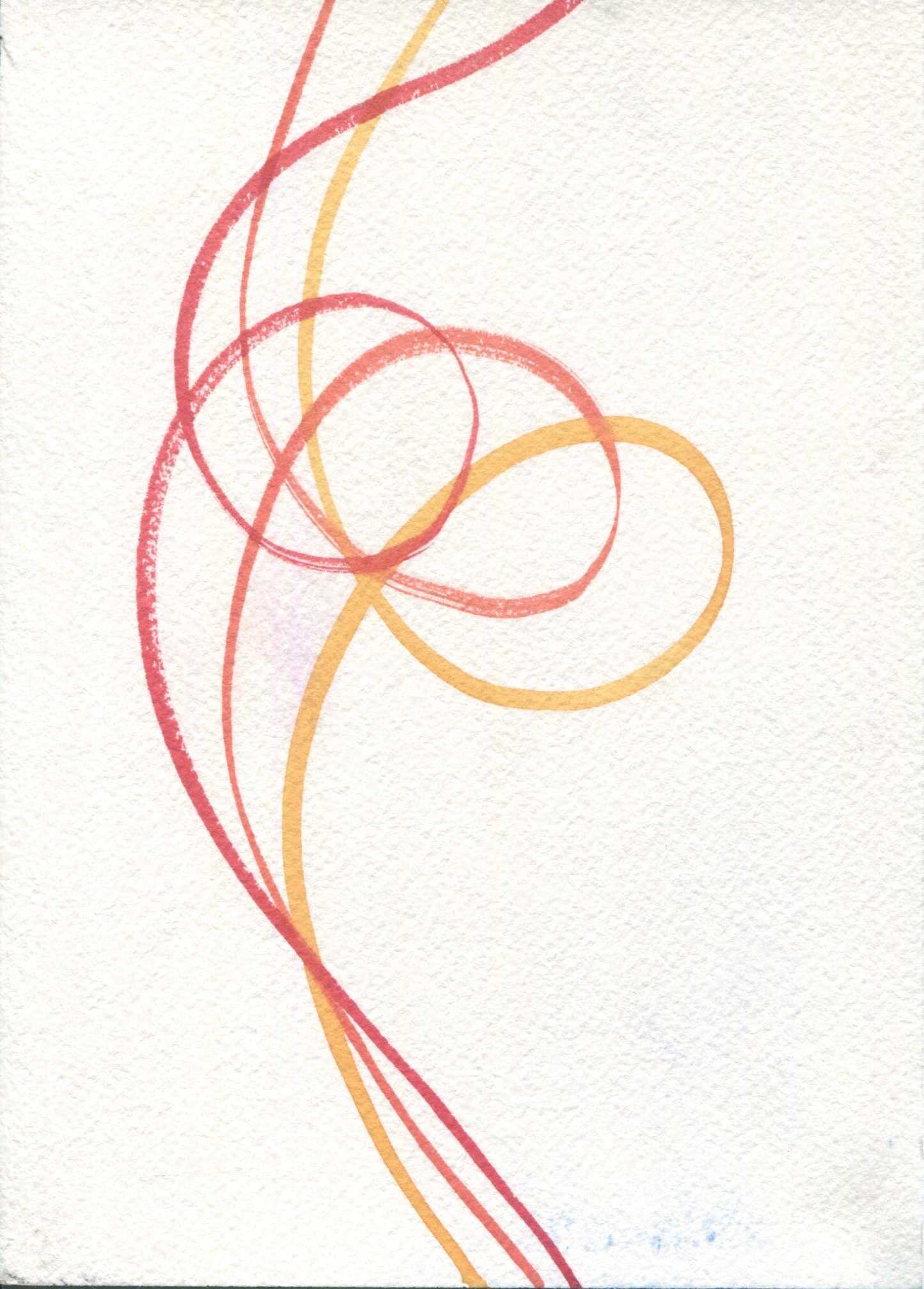 Anne Patterson, Year of Wonder, Dec 16-22, 2020