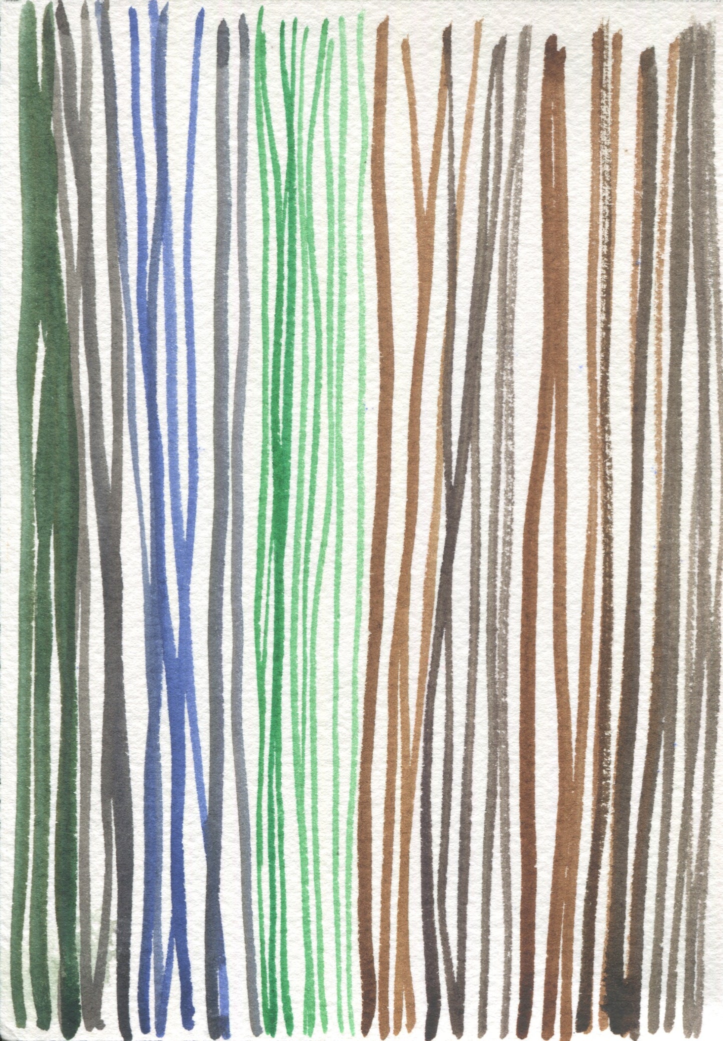 Anne Patterson, Year of Wonder, Dec 23-29, 2020
