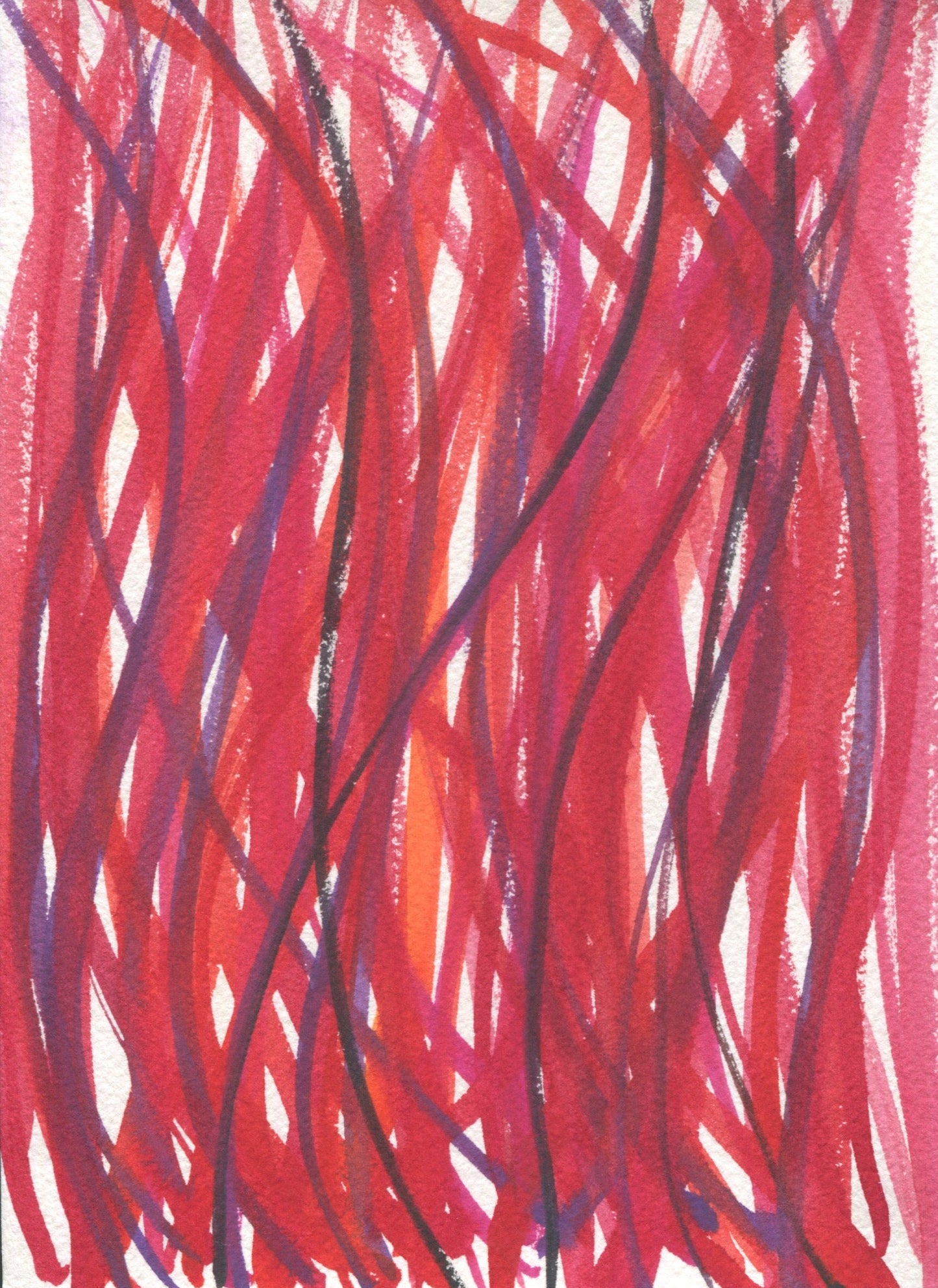 Anne Patterson, Year of Wonder, Dec 23-29, 2020