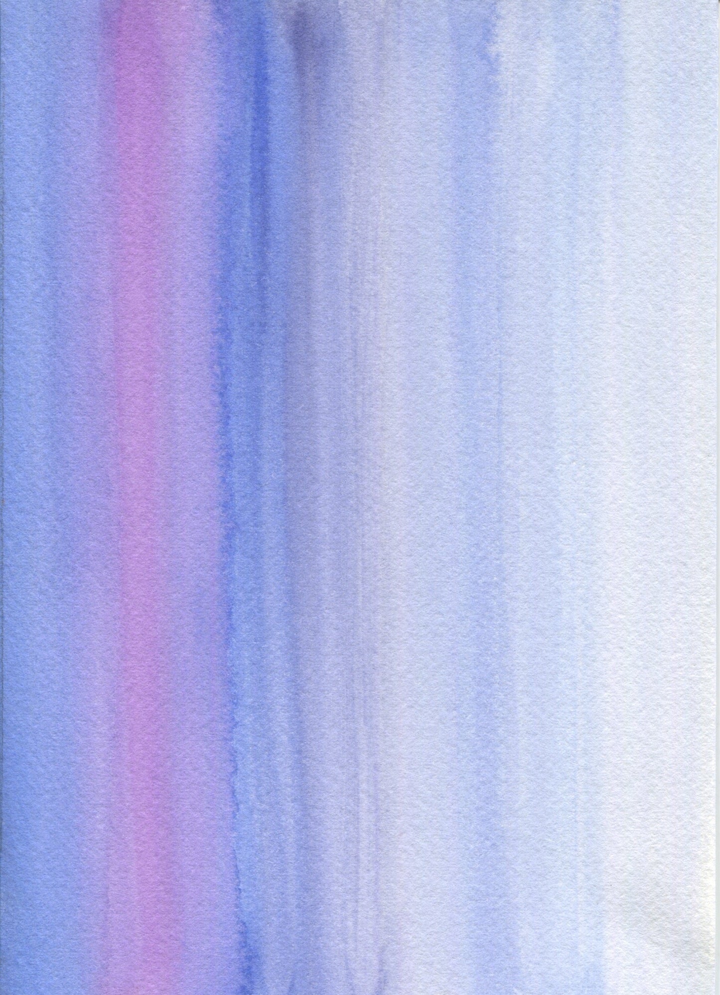 Anne Patterson, Year of Wonder, Dec 23-29, 2020