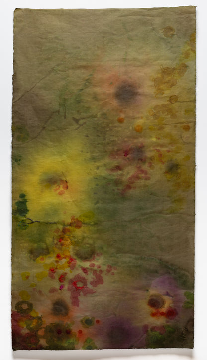 Susan Goethel Campbell | Pollen Count