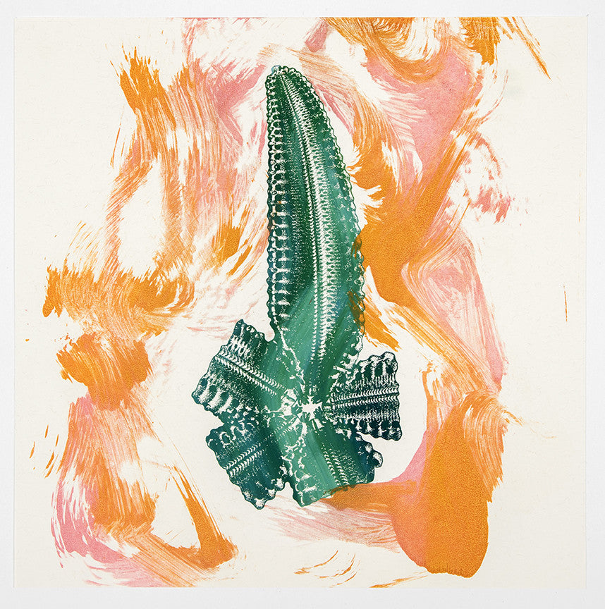 Philip Taaffe | Orange, Pink/Green, Single Arm