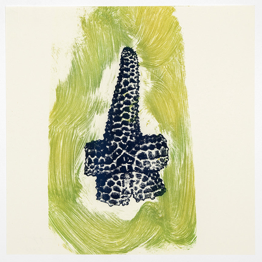 Philip Taaffe | Yellow, Green, Dark Single Arm