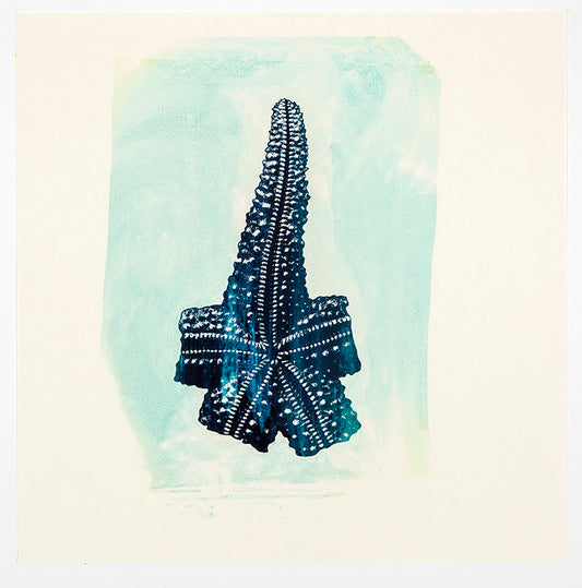 Philip Taaffe | Blue, Single Arm