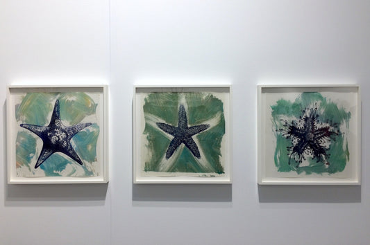 Philip Taaffe | Asterias - Miami