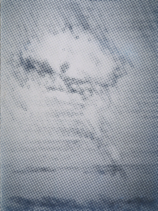 Nick Lamia | Cyanotype Cloud (2)