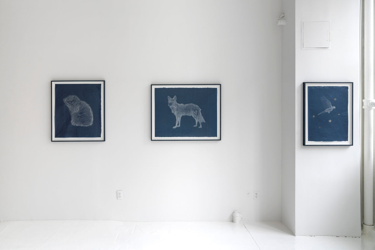 Valerie Hammond | Wolf Daughter