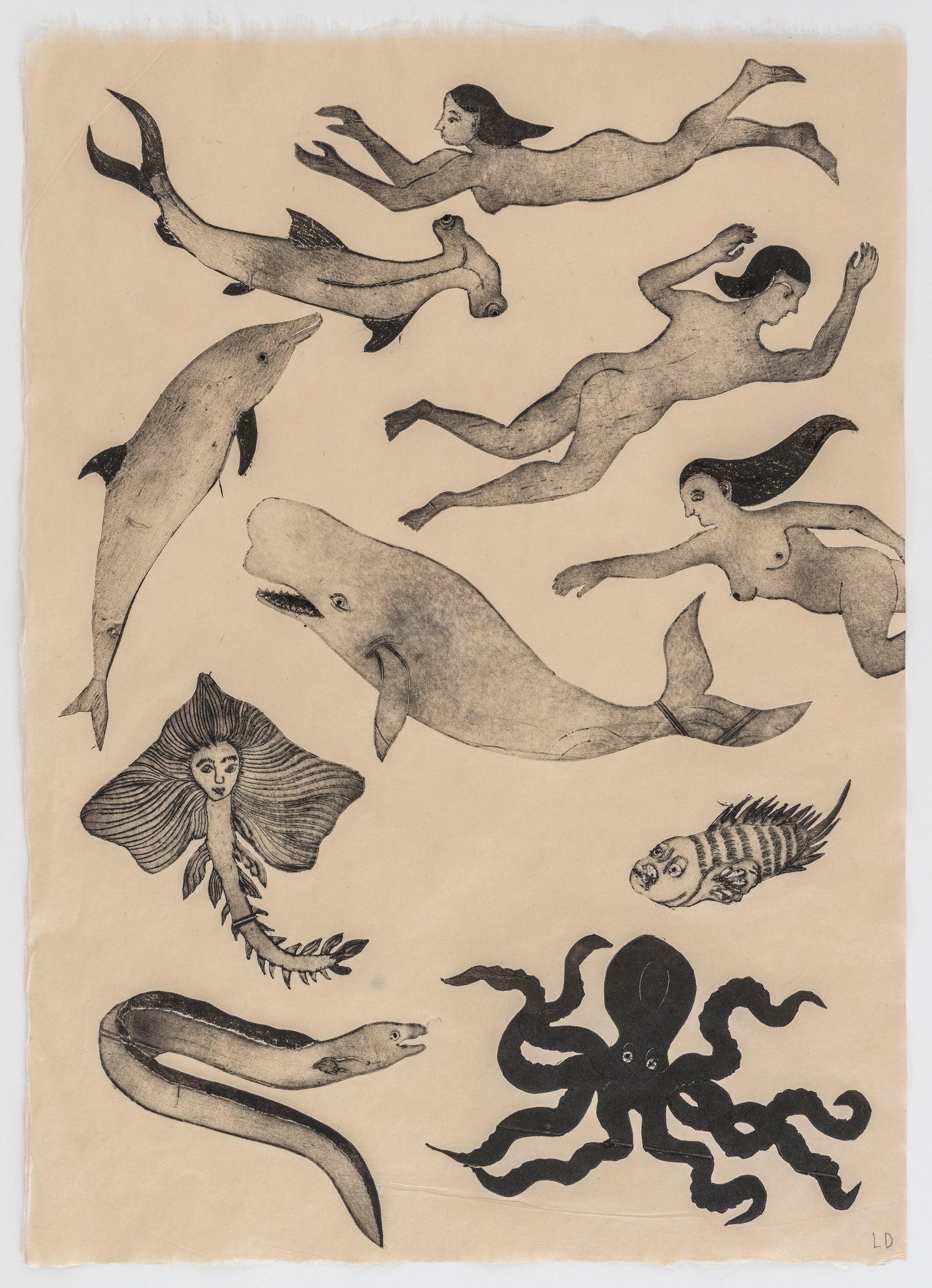 Lauren Drescher | Sea Creatures