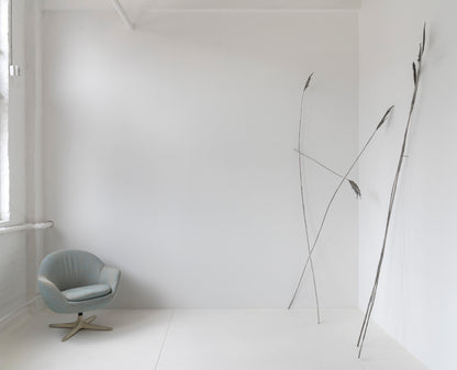 Anne Patterson: Fermata