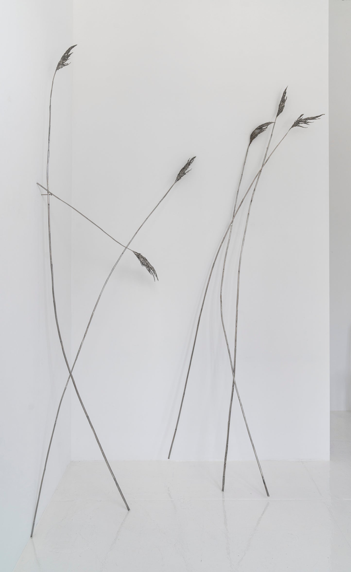Anne Patterson | Paths We Take II