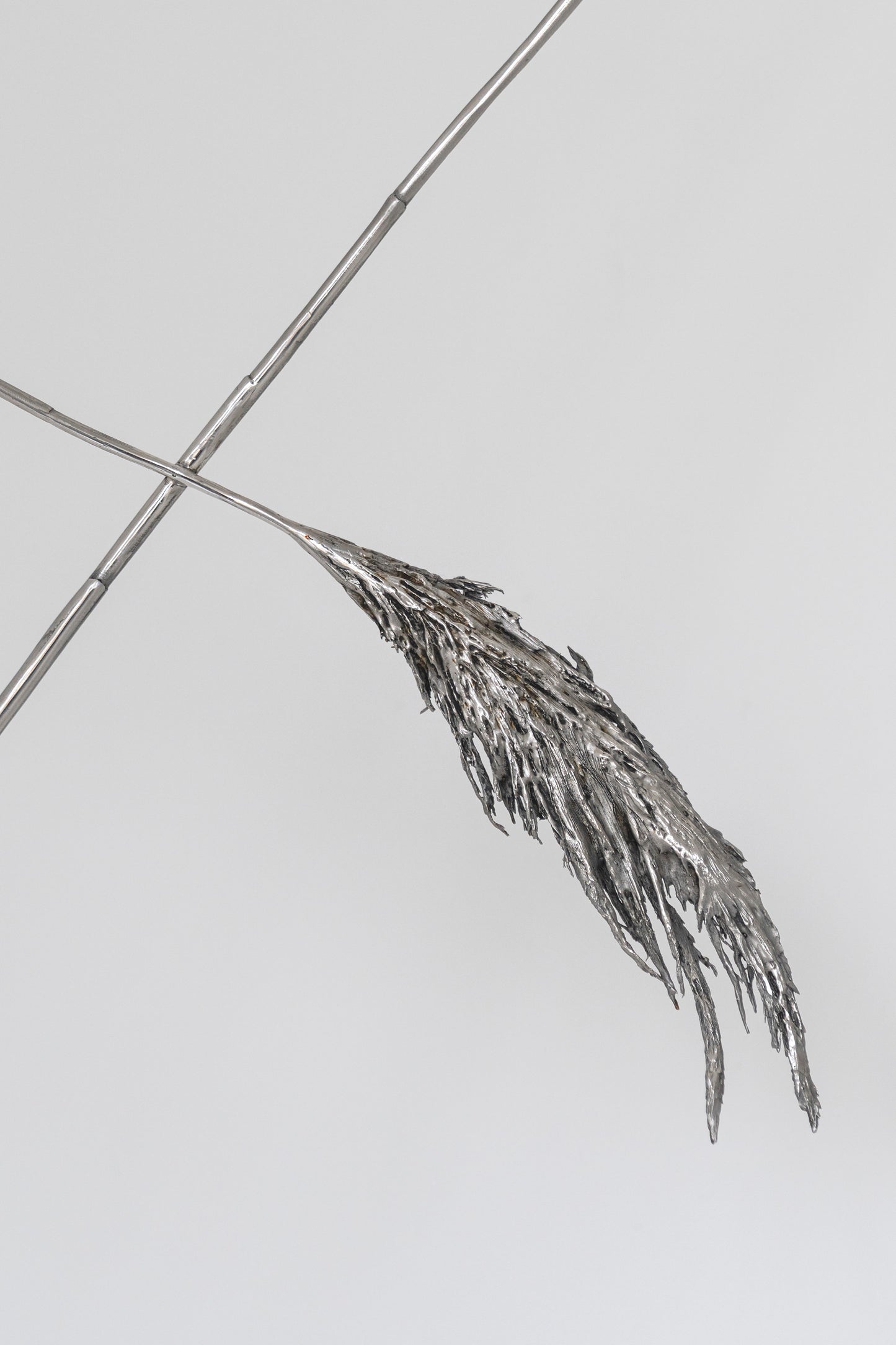 Anne Patterson | Paths We Take II