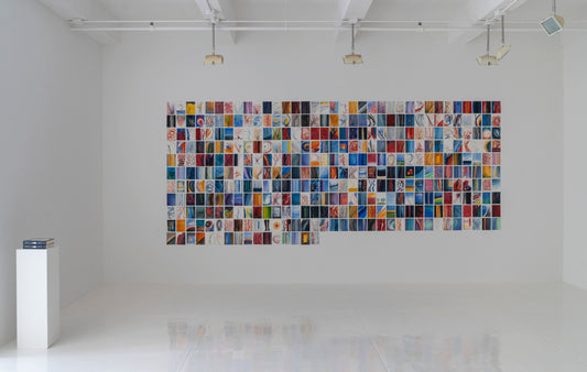 Anne Patterson: Fermata