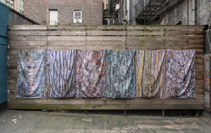 Laurie Lambrecht | Bark/Cloth