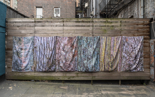 Laurie Lambrecht | Bark/Cloth
