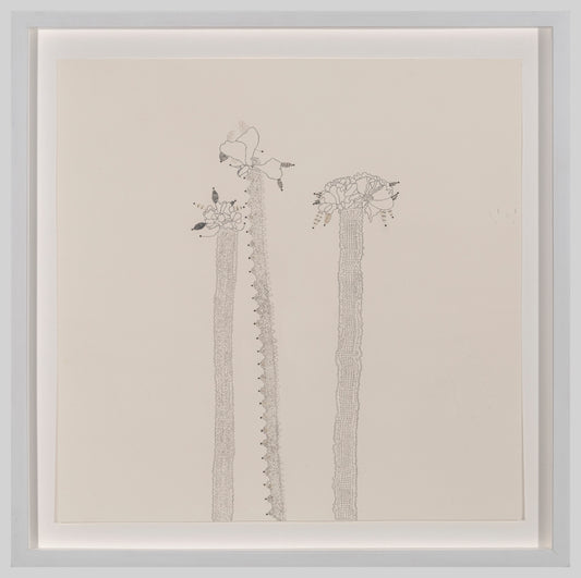 Mandy Bonnell | Rose (4)