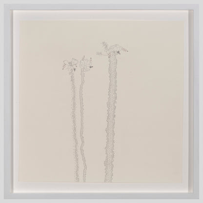 Lineup | Summer Group Exhibition