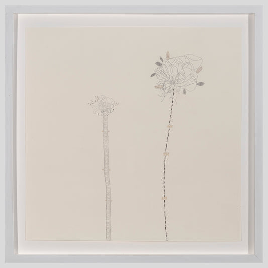 Mandy Bonnell | Rose (5)