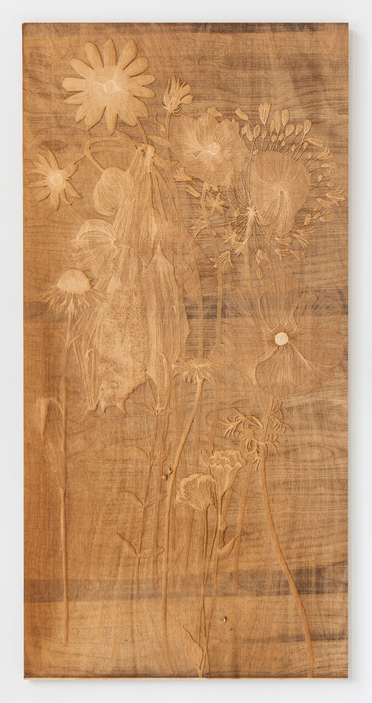 Valerie Hammond | Waking Dreams I (Bat)