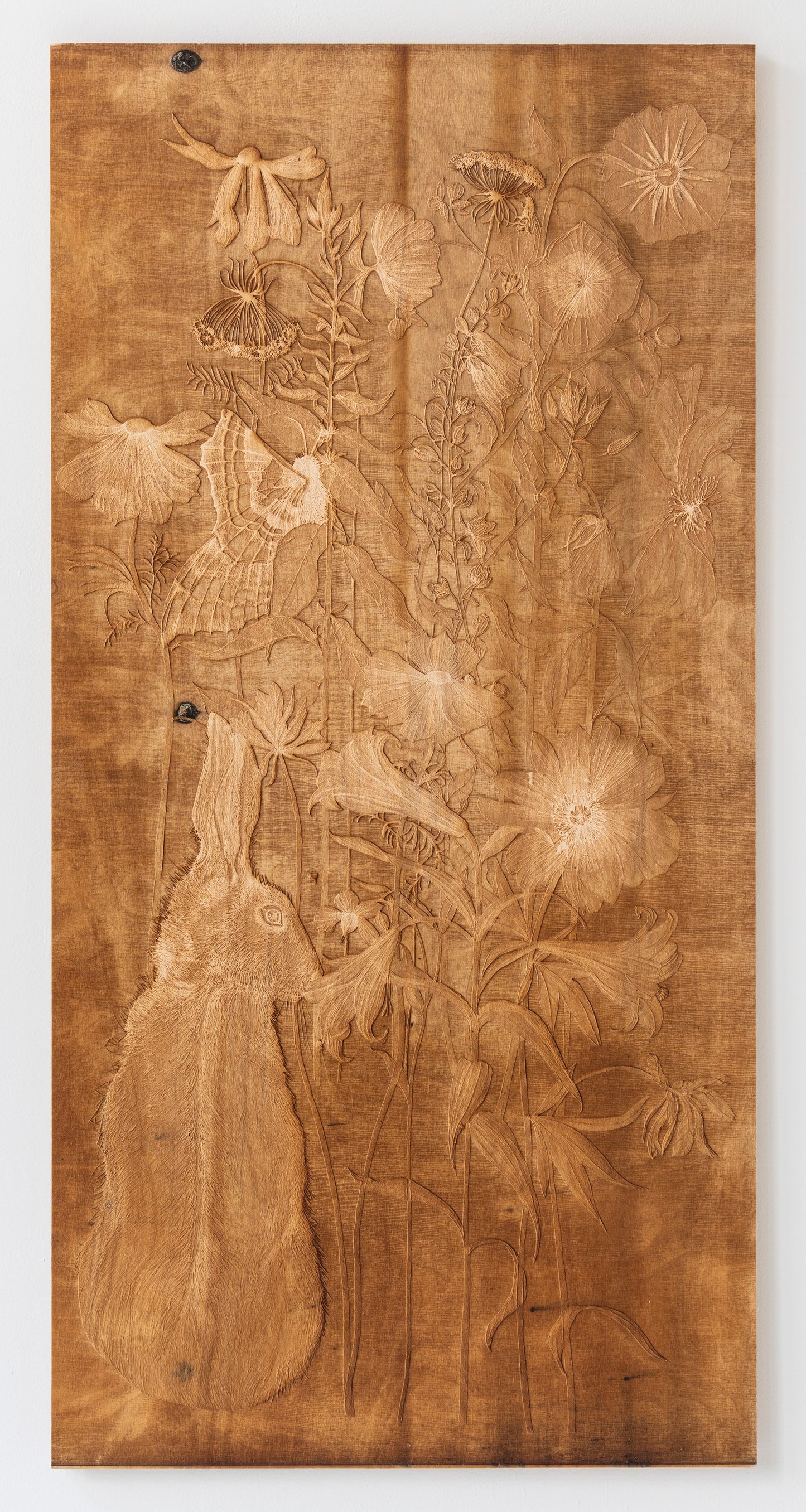 Valerie Hammond | Waking Dreams 2 (Hare)