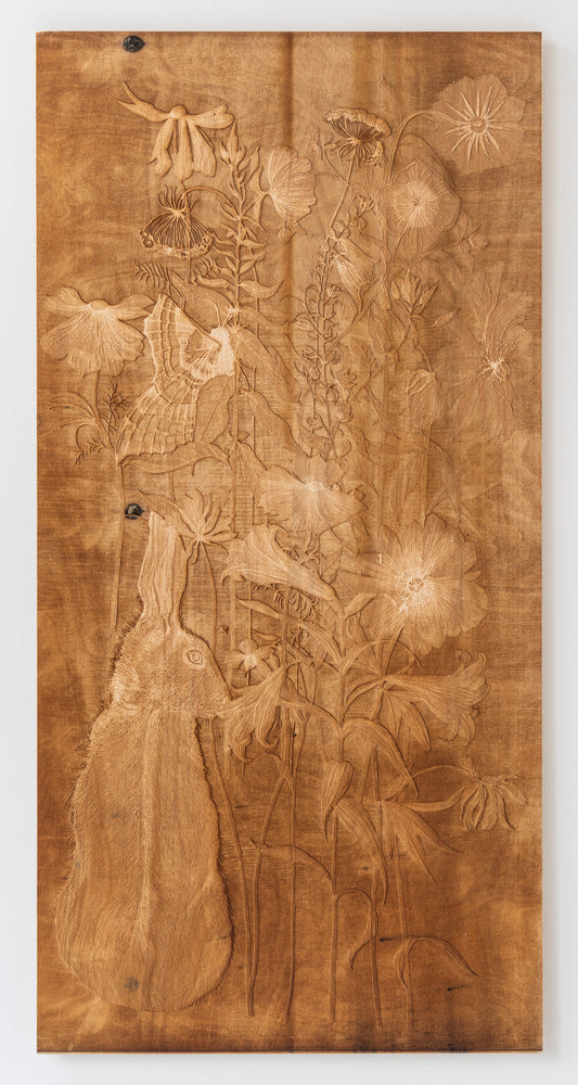 Valerie Hammond | Waking Dreams 2 (Hare)