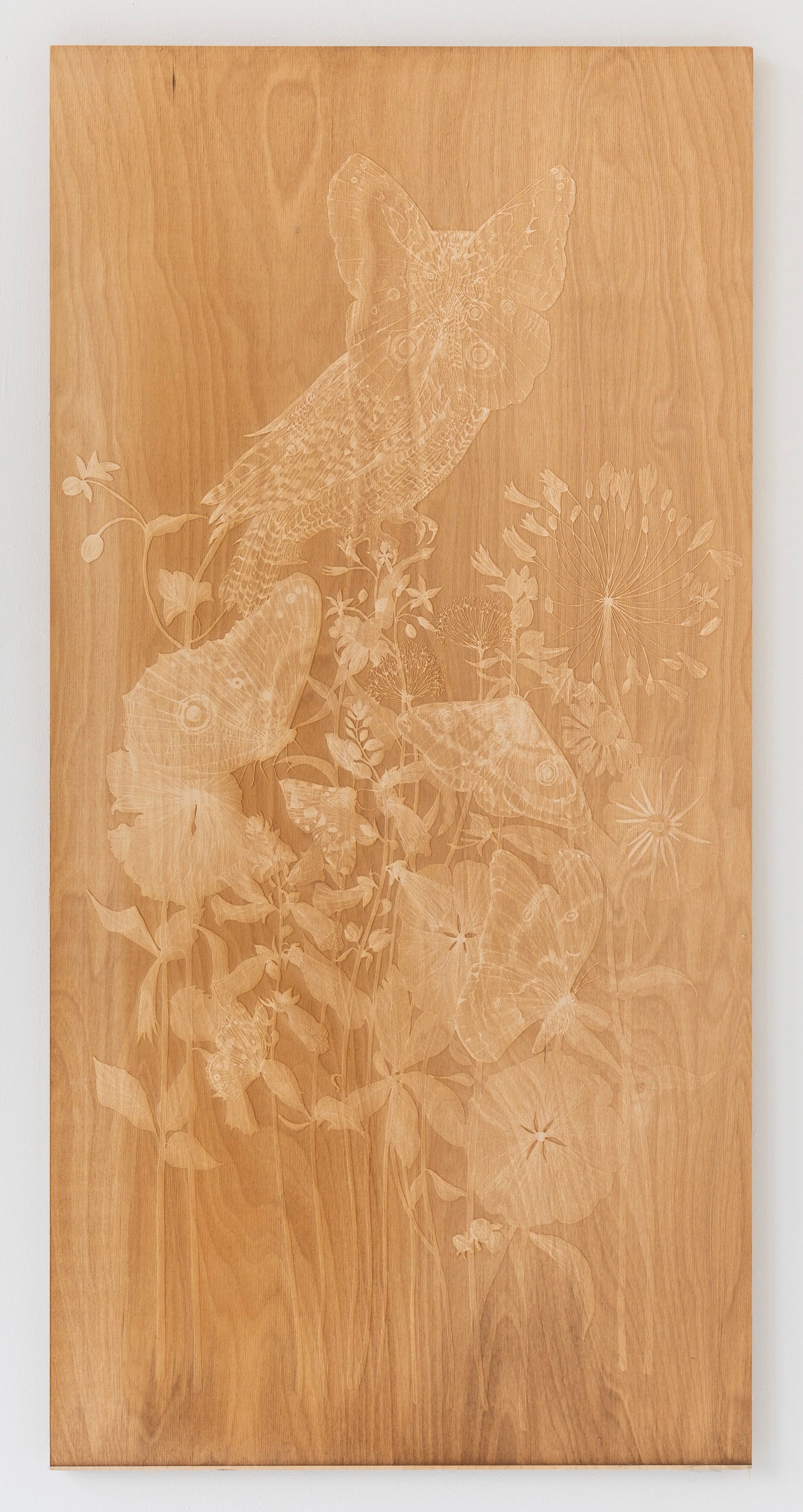 Valerie Hammond | Waking Dreams 3 (Owl Moth)