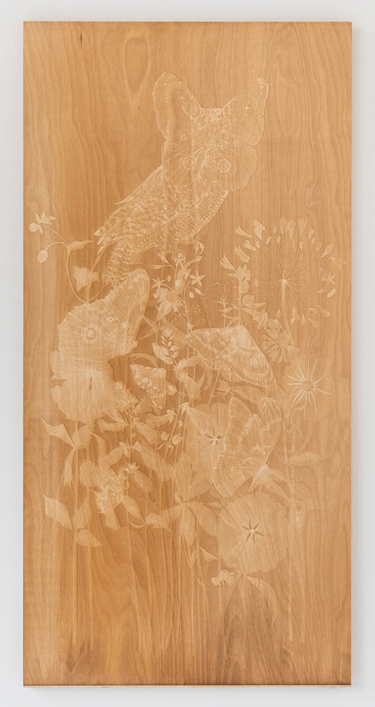 Valerie Hammond | Waking Dreams 3 (Owl Moth)