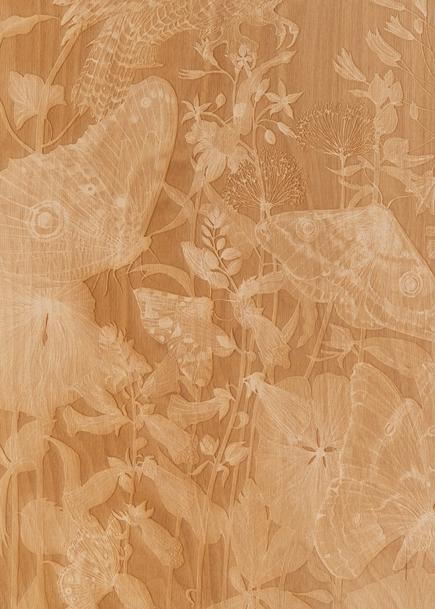 Valerie Hammond | Waking Dreams 3 (Owl Moth)