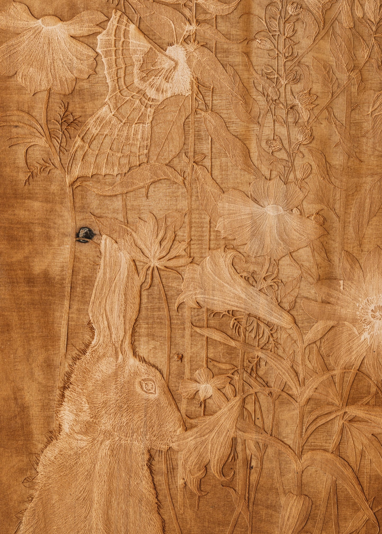 Valerie Hammond | Waking Dreams 2 (Hare)