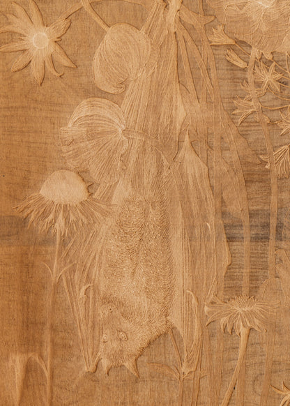 Valerie Hammond | Waking Dreams