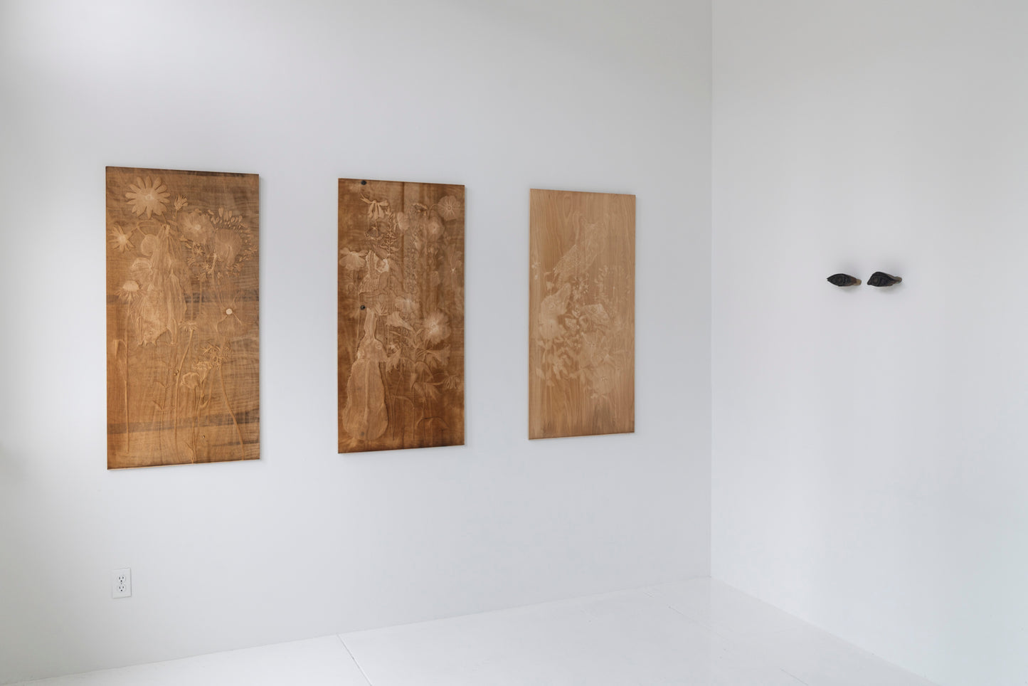 Valerie Hammond | Waking Dreams 3 (Owl Moth)