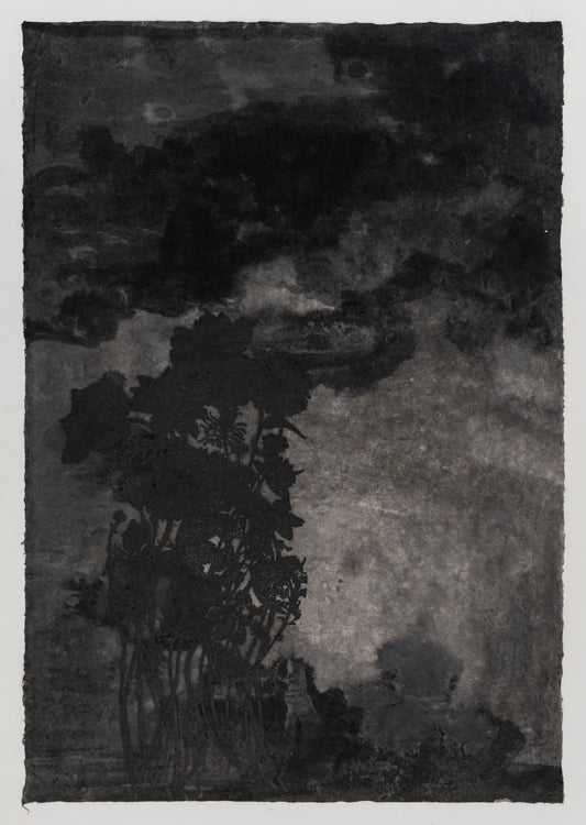 Valerie Hammond | Midnight Hours (Flowers Dark 2)