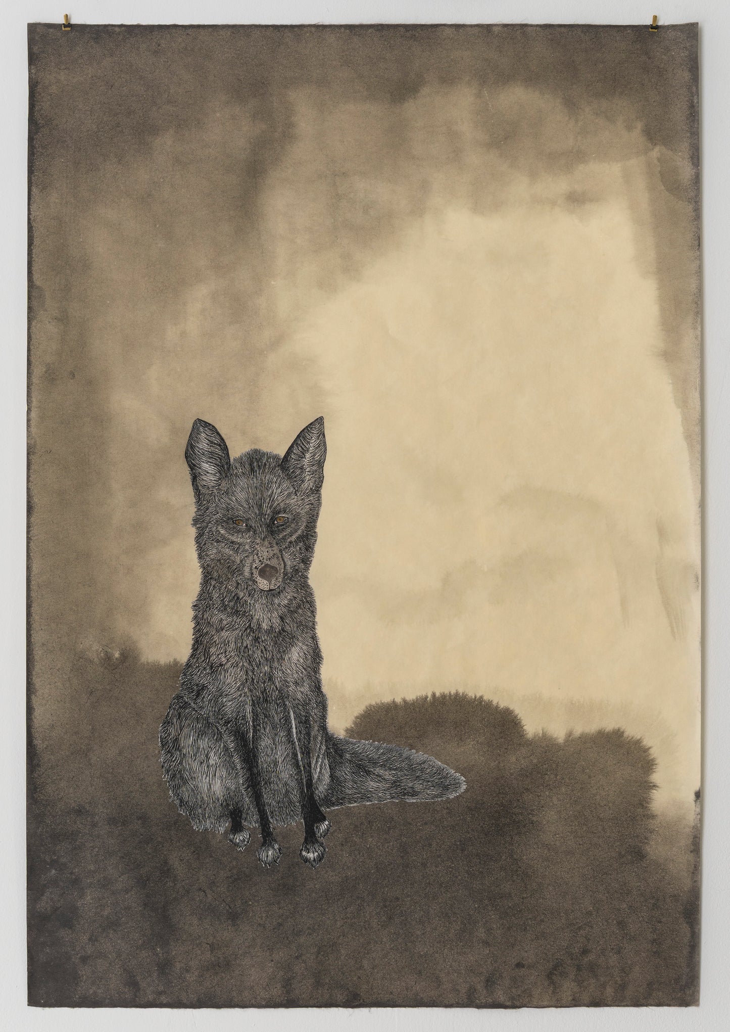 Valerie Hammond | Midnight Hours (Fox)