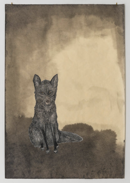 Valerie Hammond | Waking Dreams