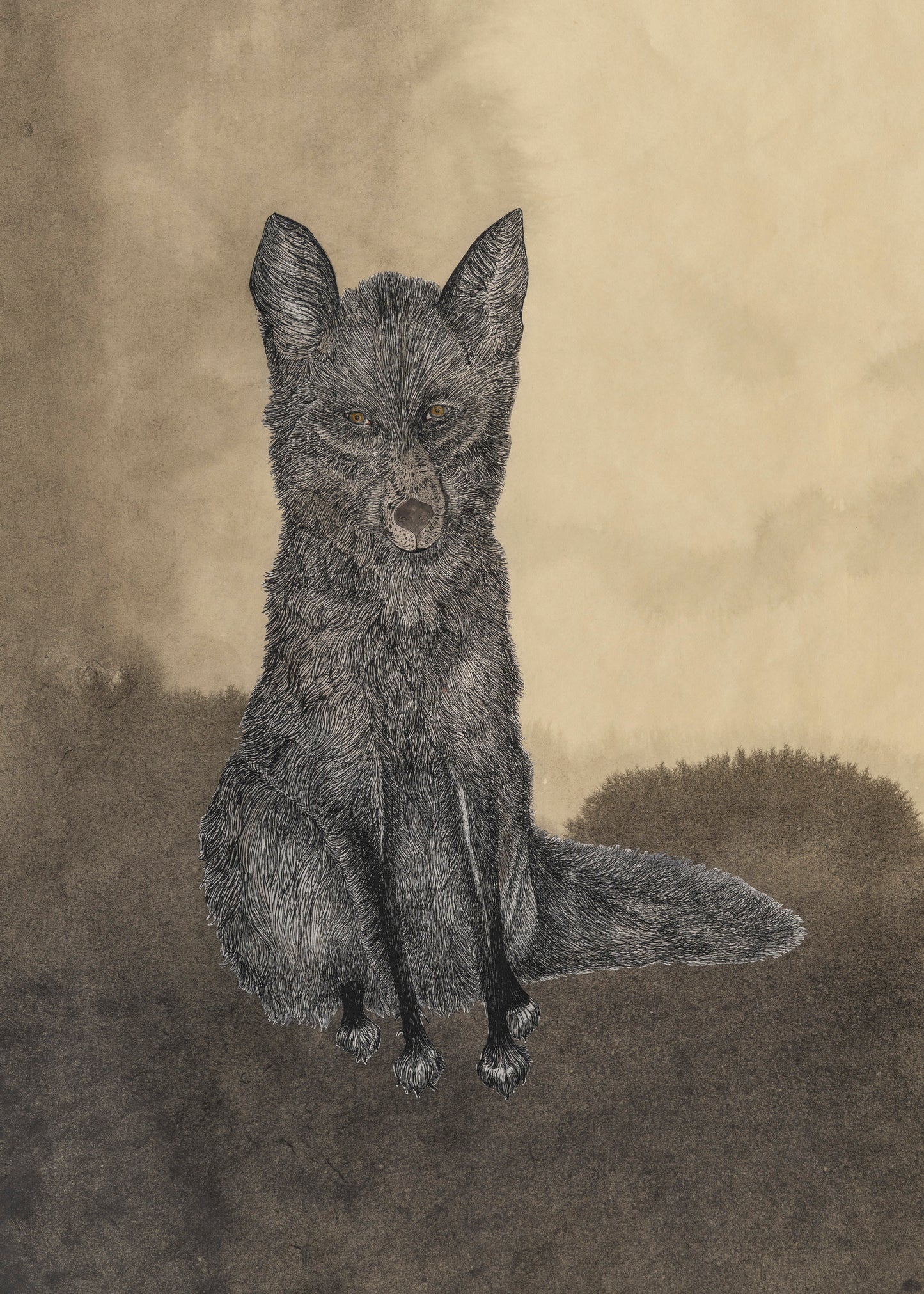 Valerie Hammond | Midnight Hours (Fox)