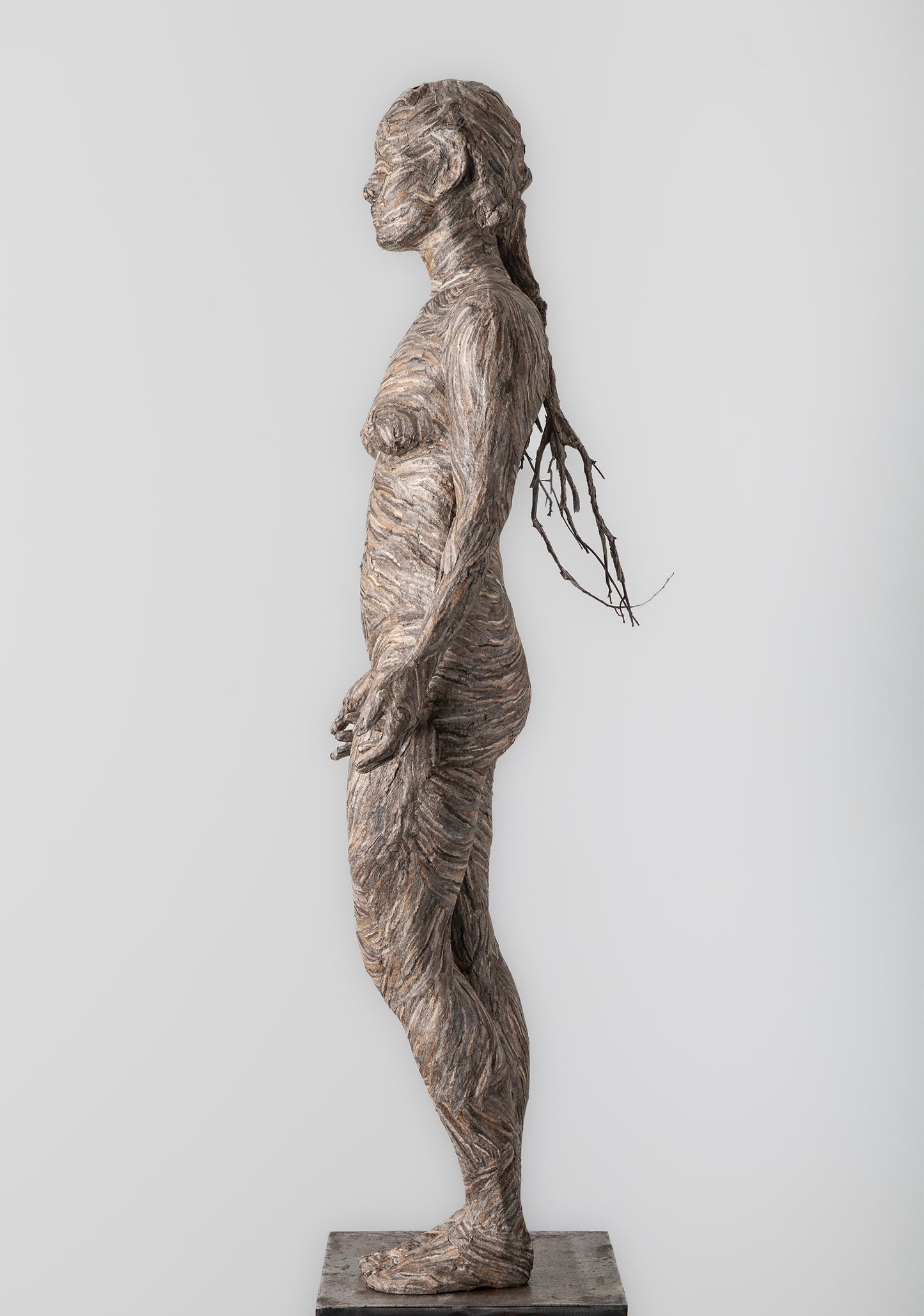 Valerie Hammond | Daphne