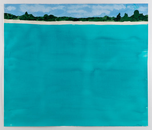 Richard Dupont | Desert Island Drawings