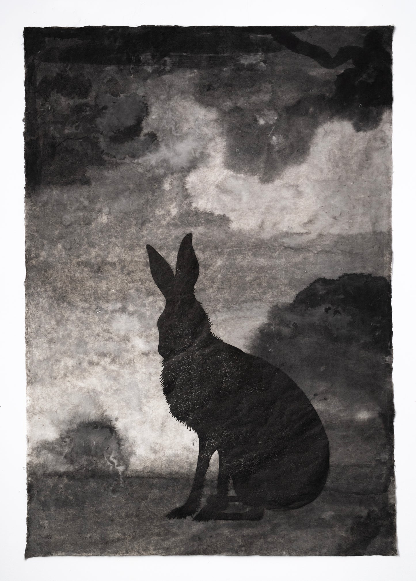 Valerie Hammond | Waking Dreams