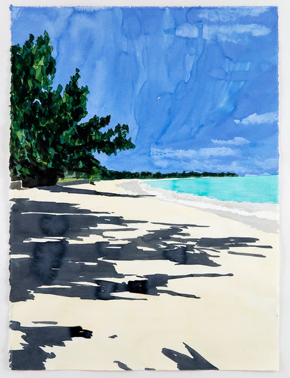 Richard Dupont | Islands 294