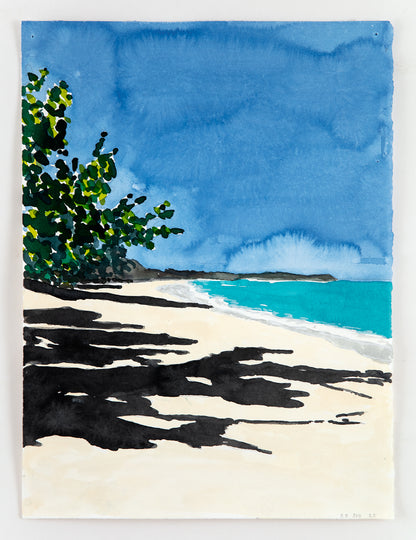 Richard Dupont | Desert Island Drawings