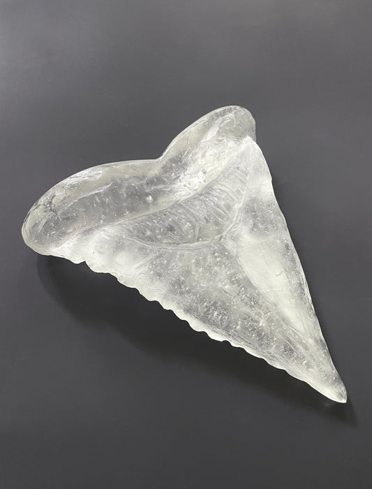 Naho Taruishi | Megalodon Tooth